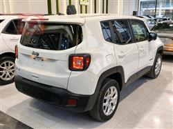 جيب رينيجيد